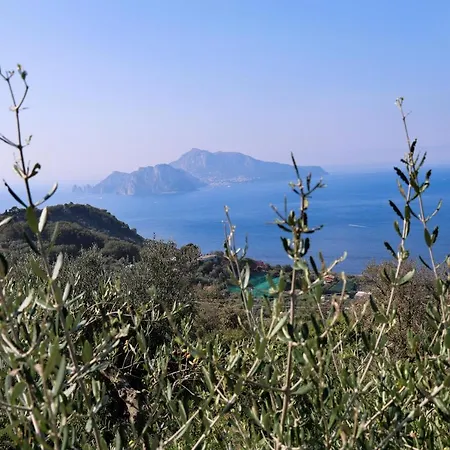 Italia Sorrento * Termini